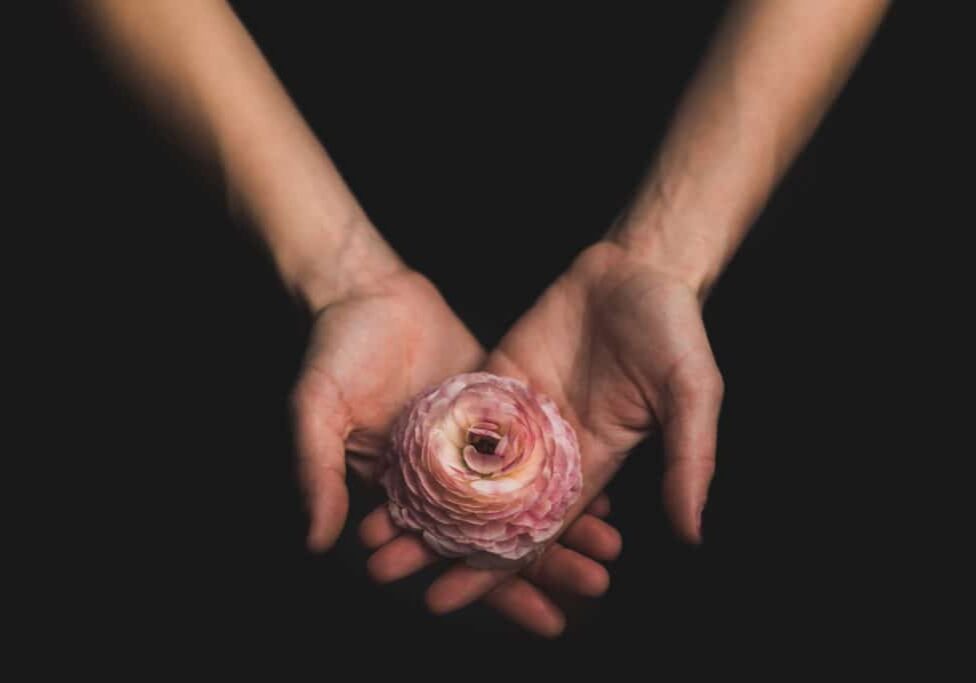 Open hands holding a flower